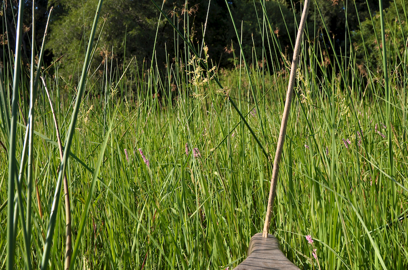 Melanie Heinrich Travel Images Africa